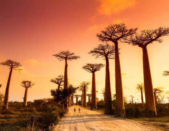 Madagascar – Paradisul salbatic al Oceanului Indian