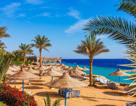 Top hoteluri de vis in Hurghada + cele mai frumoase excursii optionale